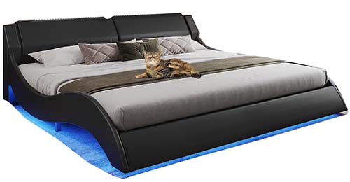 Modern Faux Leather Low Profile Platform Bed with LED Lights by DICTAC